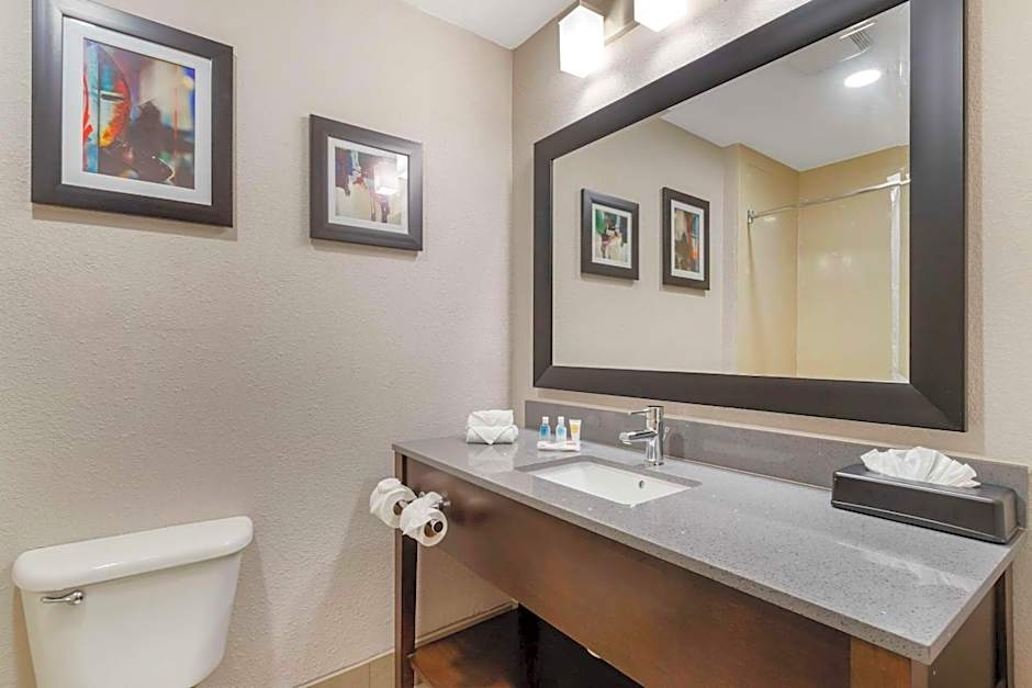 Comfort Suites Shenandoah-The Woodlands