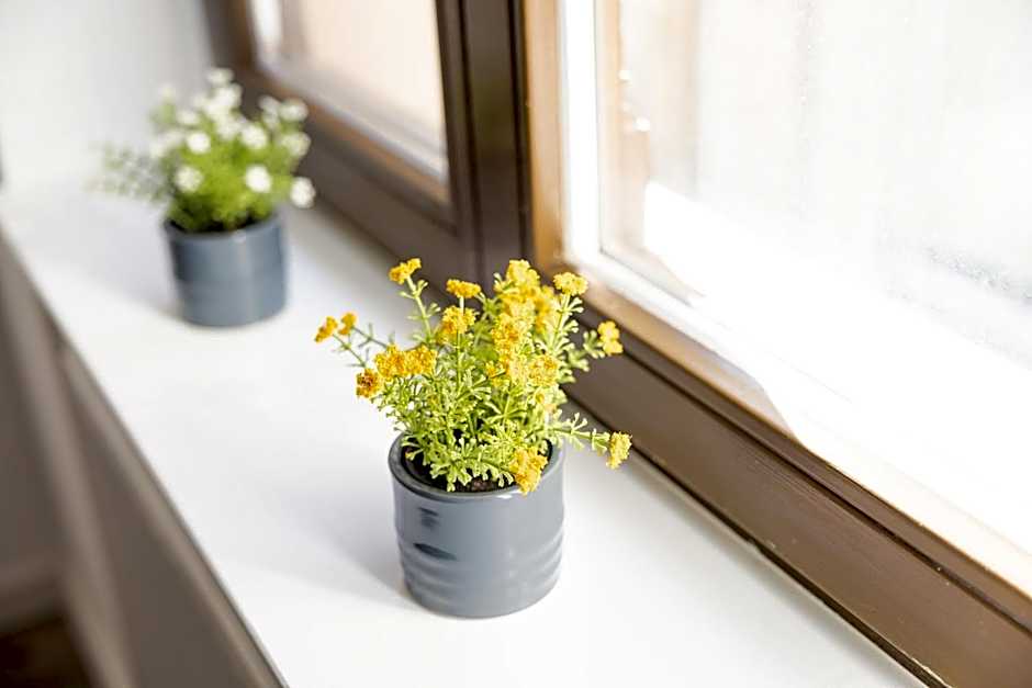 Apartments am Neuen Theater - Altstadt - Zentral - Küche - Wifi - Powered by Ko-Living