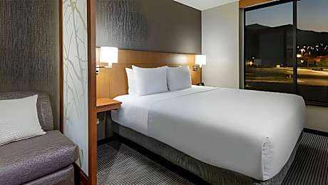 Accessible Suite King Bedrollin Shower (Plus Sofa Bed)