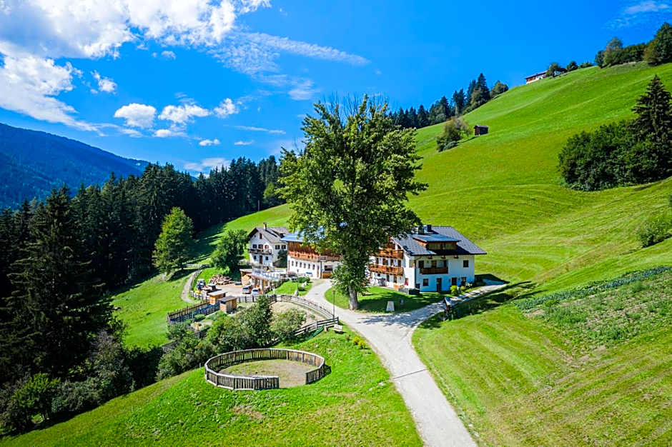 Photo 1 of 50 of Haubenthal