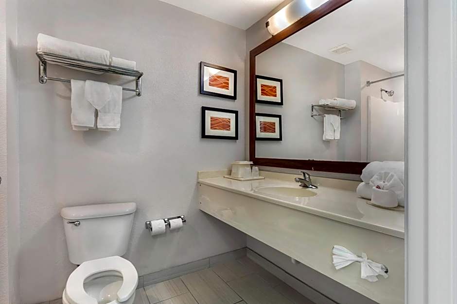 Comfort Inn & Suites Red Oak - Dallas Area