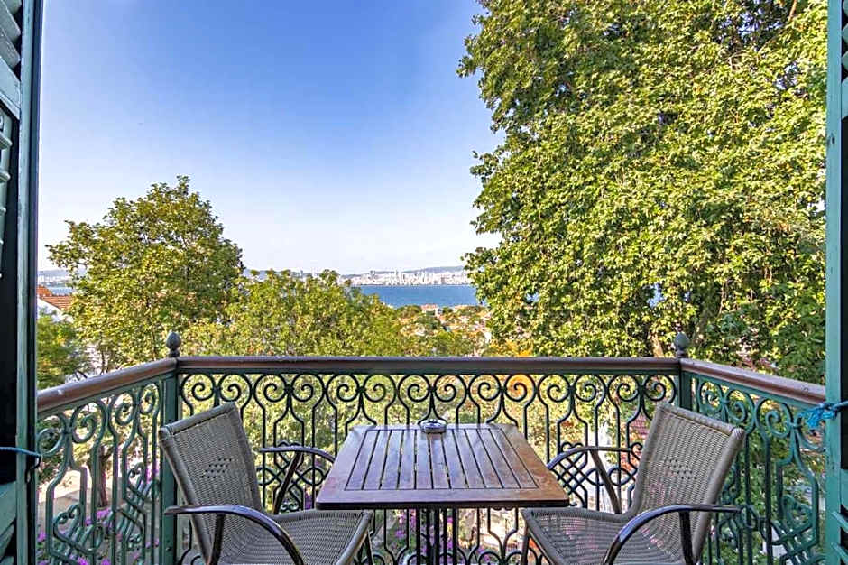 Büyükada Anastasia Meziki History Mansion