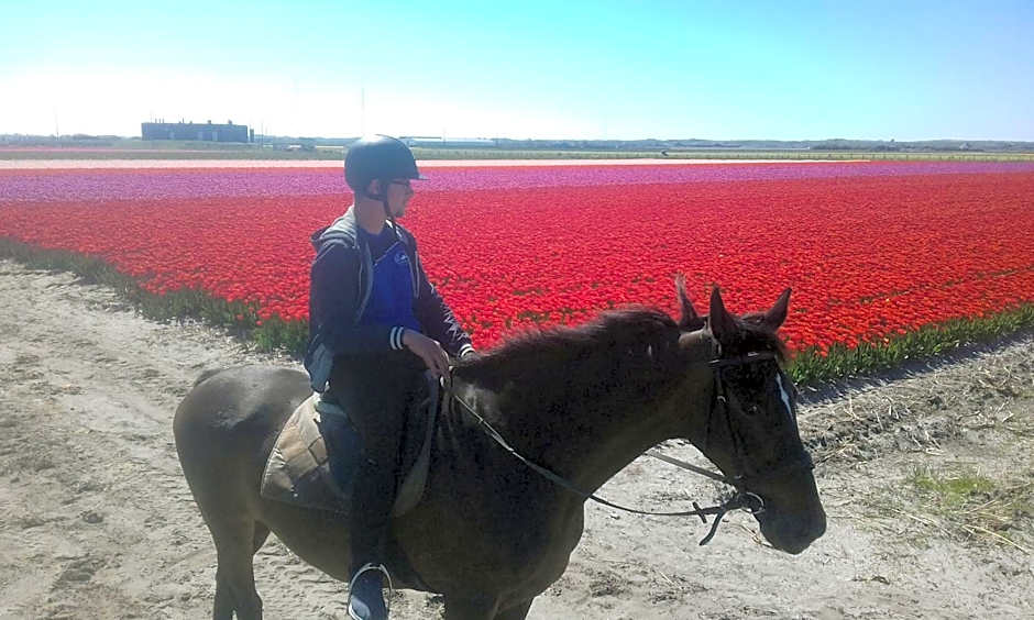 B&B boerderij rust, in pipowagens!