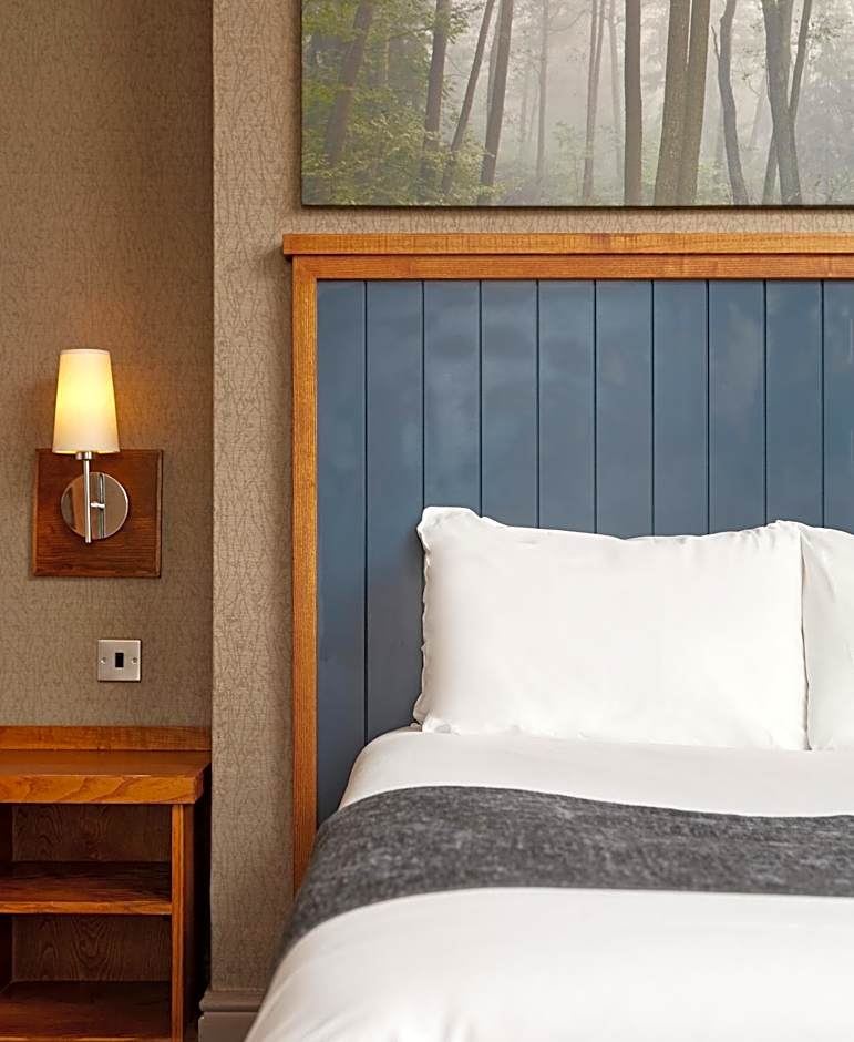 White Rabbit by Chef & Brewer Collection