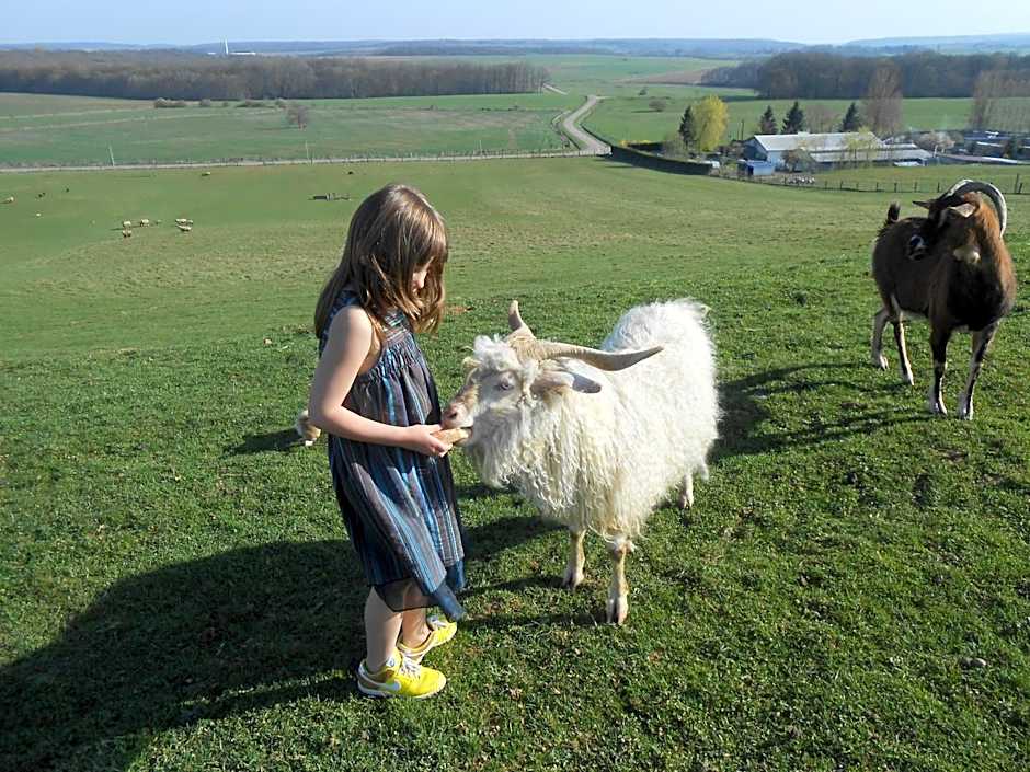 La Ferme des 3 Suissesses