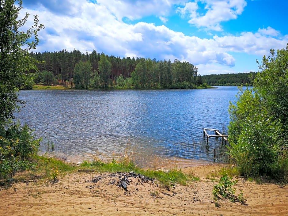 Domki Między Drzewami