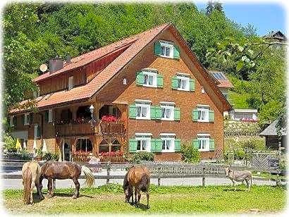 Hotel Gasthaus Schäfle