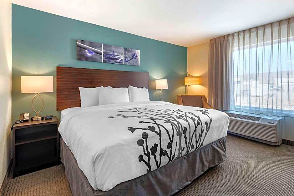 Photo 1 of 4 of Standard 1 King Bed, Nonsmoking