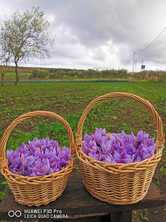 Bed And Breakfast "ANNA"