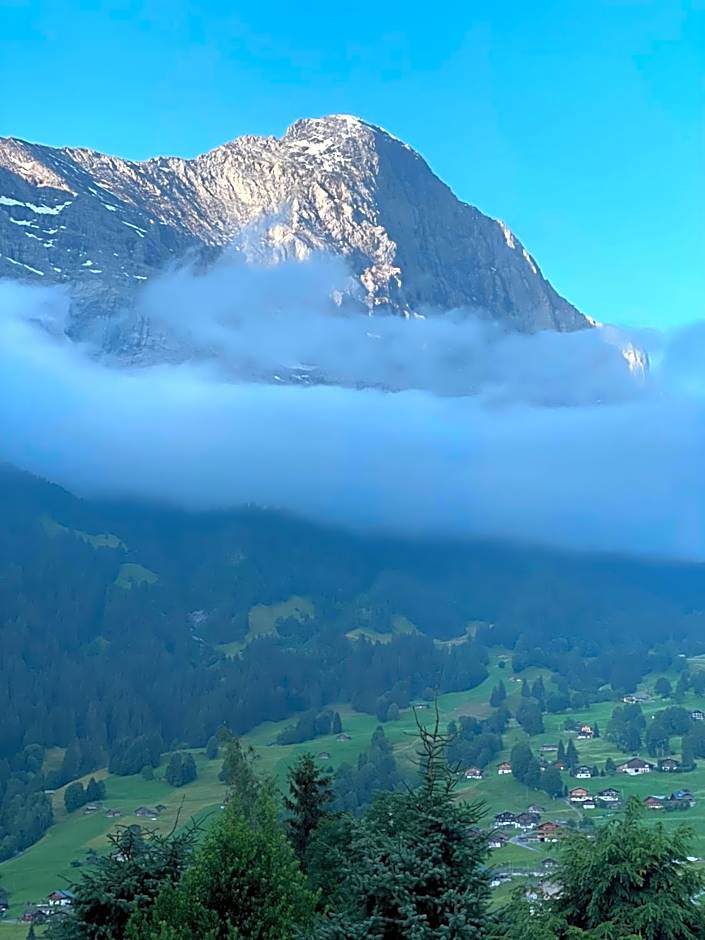 Jungfrau Lodge, Swiss Mountain Hotel