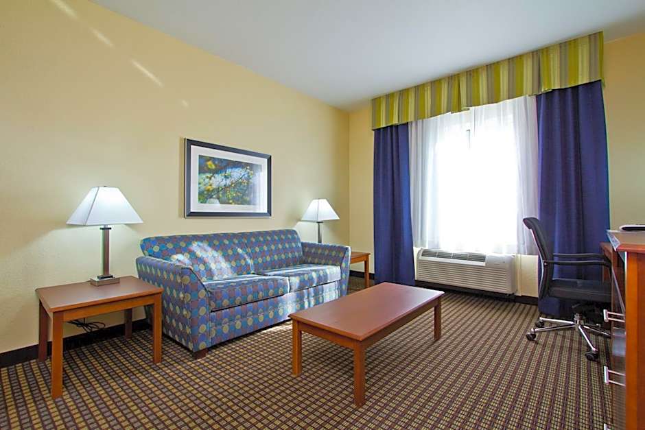 Holiday Inn Express & Suites Denver East-Peoria Street By IHG