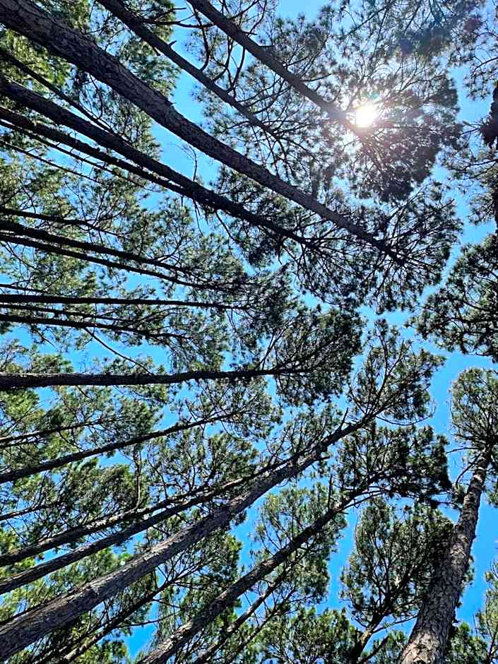 Moçamba LODGE Contêiner