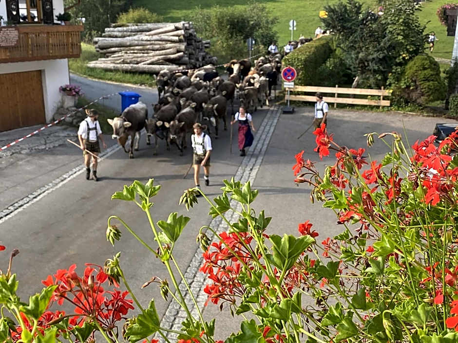 Nagelfluhhaus Hirsch