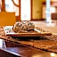 Hotel Villa Brescia