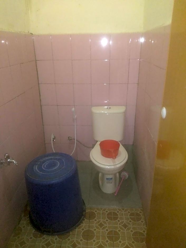 Umiyuki jungle tour only treking with us