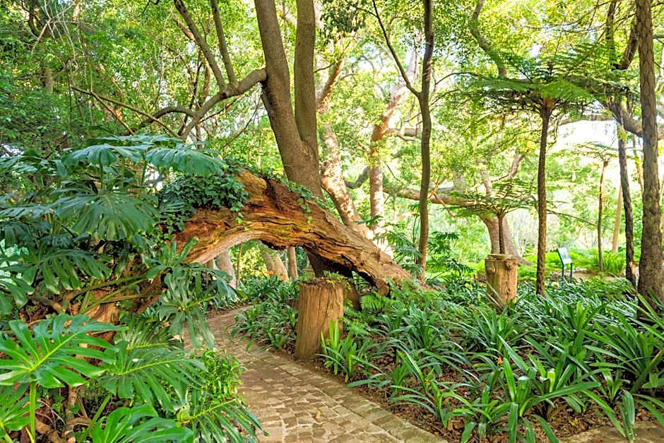 The Cellars-Hohenort