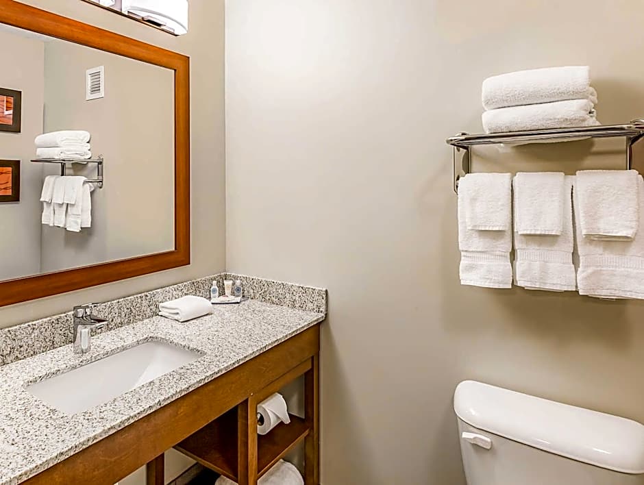 Quality Inn Bessemer I-20 exit 108