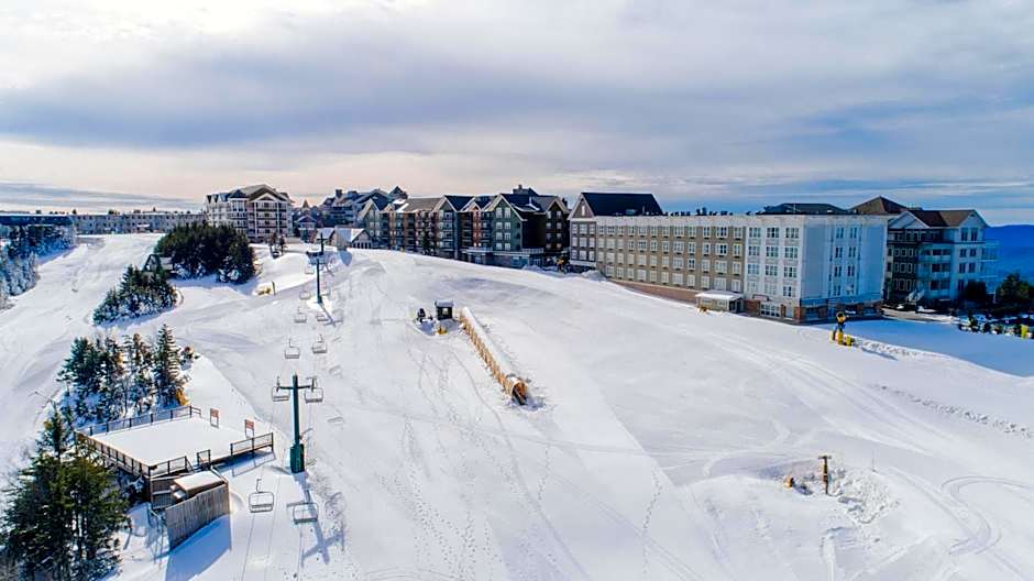 Stroll to Slopes, Village Area, Ski in-out MtLodge 343