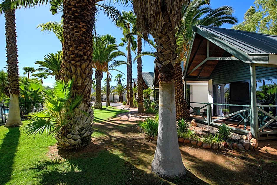 Desert Palms Alice Springs