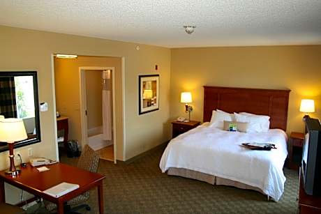 1 King Bed Studio Suite Nonsmoking