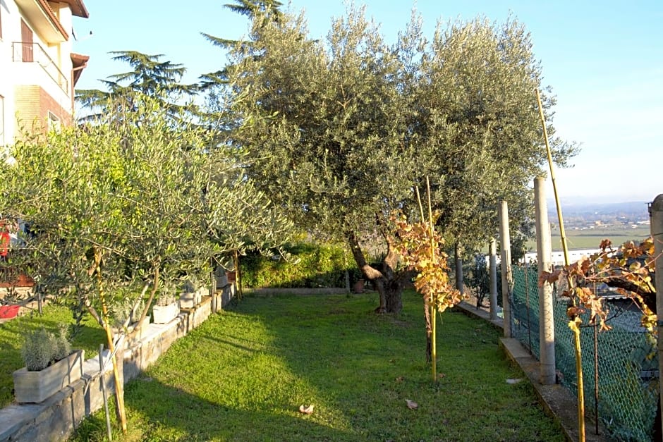 A1 Girasole B&B