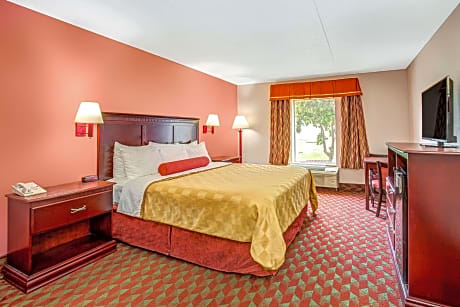 1 King Bed Non-Smoking