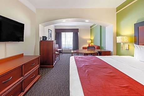 1 King Bed