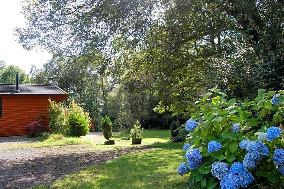 Luxury woodland Alder Lodge