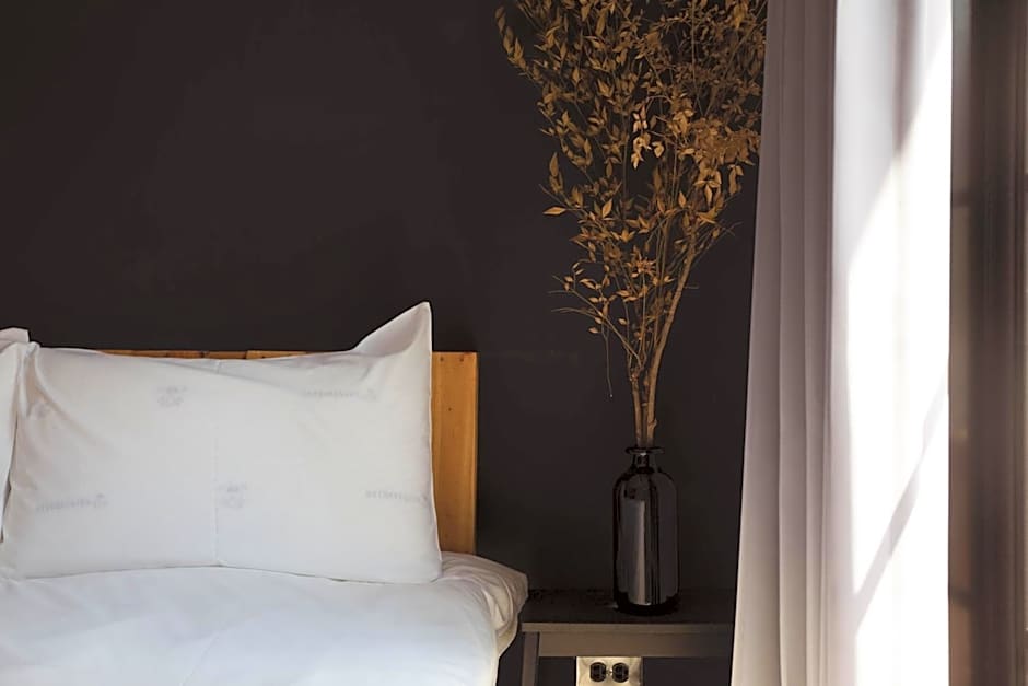 被愛咖啡小旅館 Birdeye Garden