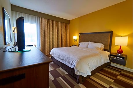 1 King Mobility/Hearing Acc Ri Shower Nosmok