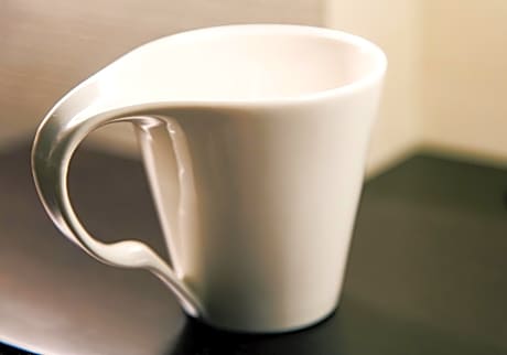 Superior Double Non-Smoking (1 Person)