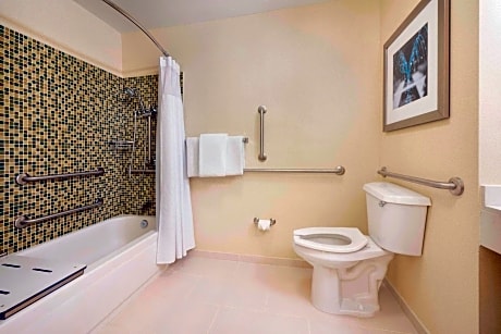 Suite, 1 King Bed with Sofa bed (1 King Bed and 1 Double Sofa Bed)