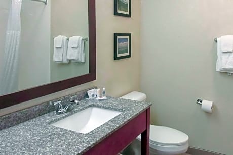 1 King Bed, 1 Queen Bed, Suite, Nonsmoking