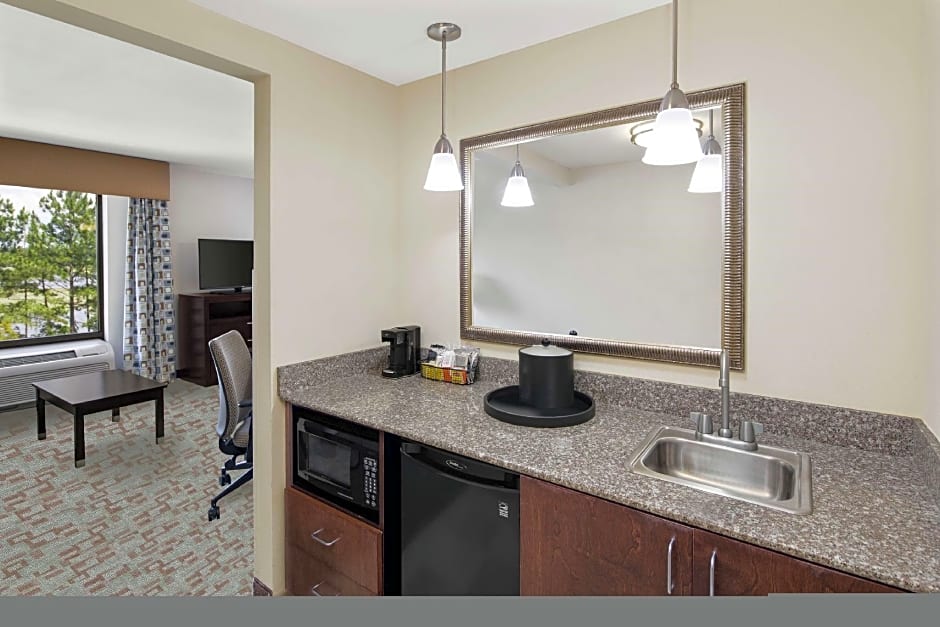 Hampton Inn By Hilton And Suites Savannah-Airport