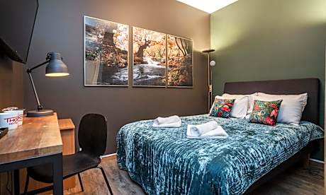 Moderate Double Room Without Window