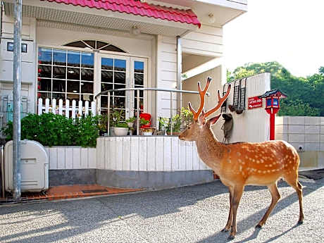 Nara - Hotel / Vacation STAY 47950