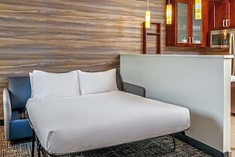 One Bedroom King Suite & Sofa Bed