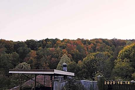 Forest View, Pet friendly Chalet with a garden