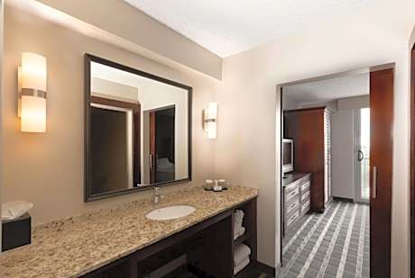 2 Room Suite-1 King Bed-Nonsmoking