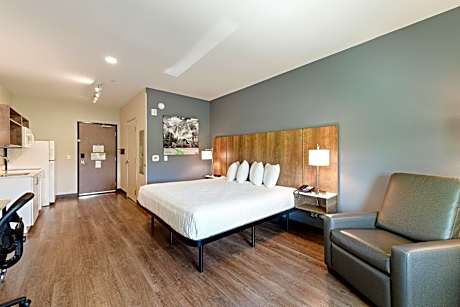 Studio with 1 King Bed - Non-Smoking