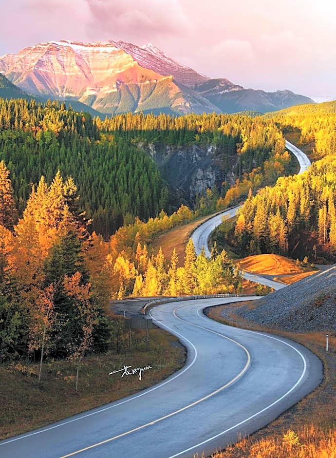 Sunny Tranquil Woods Turret in Falcon Crest Lodge
