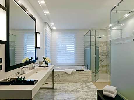 Executive Suite One King