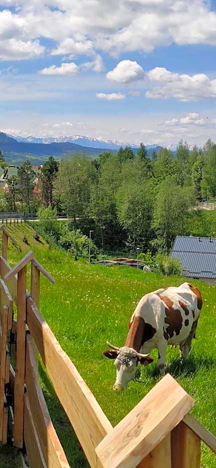 Góralskie Domki na Podhalu - z jacuzzi