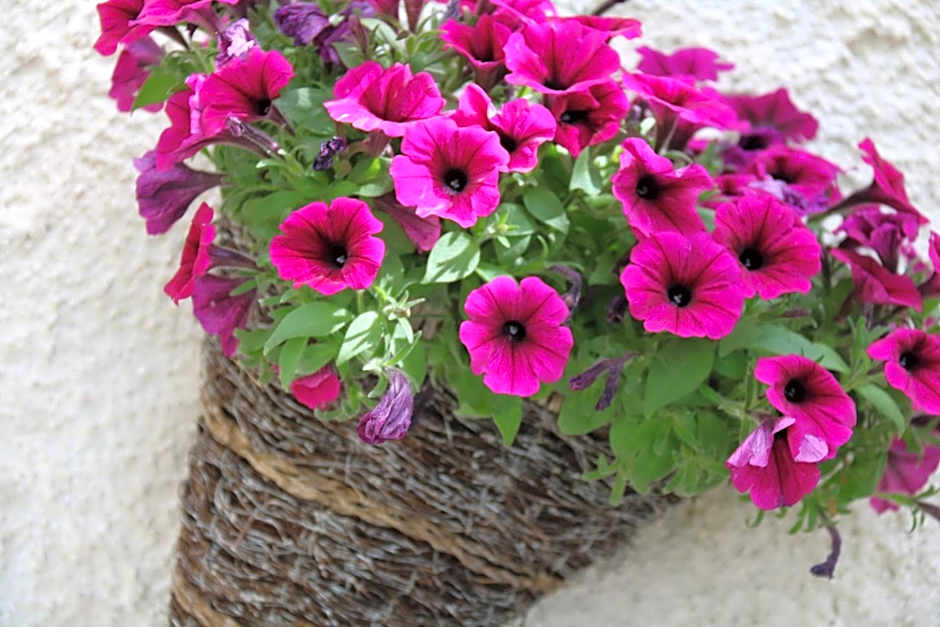 Villa Bella Piemonte