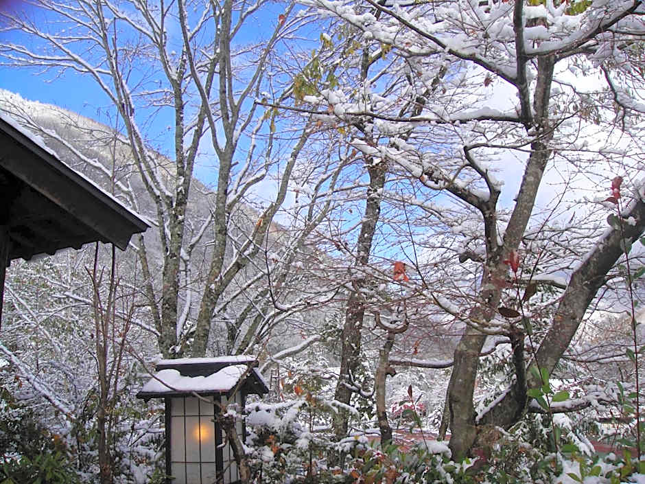 Hidaji (Adult Only)