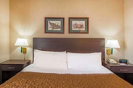 1 Queen Bed, Mobility Hearing Accessible Room, Roll-in Shower, Non-Smoking
