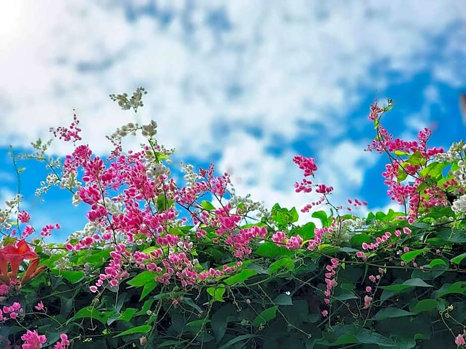 Tamarindee Bed & Breakfast