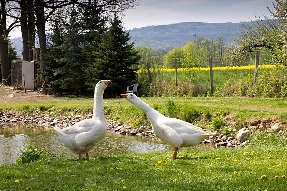 Dorfgasthof Berlakovich