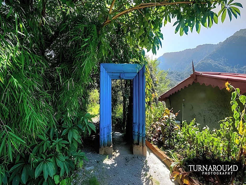 Jungle Lore Birding Lodge