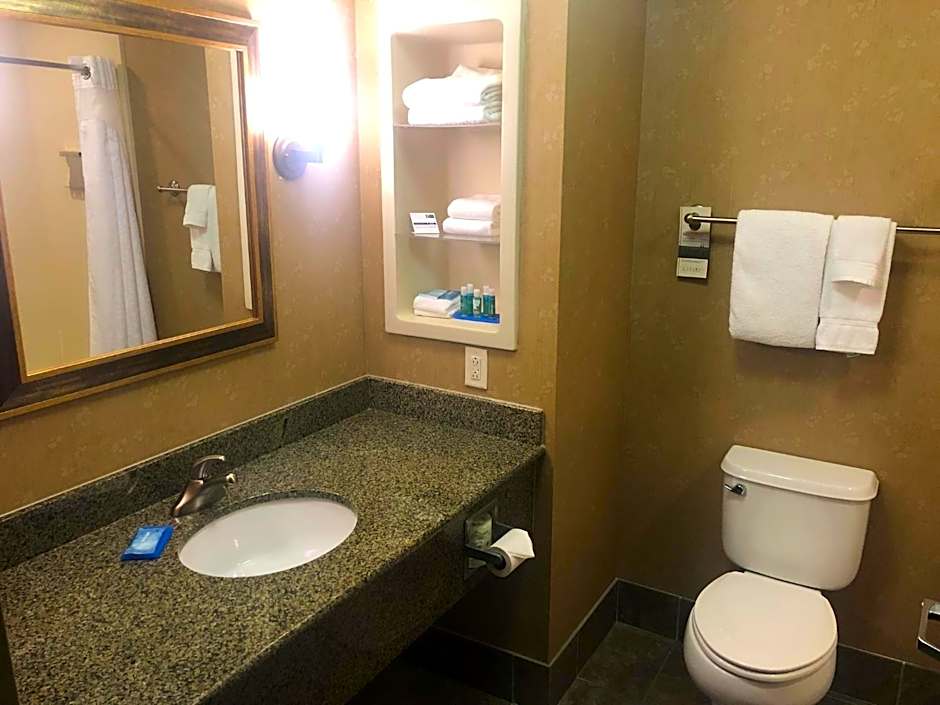 Holiday Inn Express Hotel & Suites Ooltewah Springs - Chattanooga By IHG